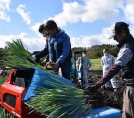 白ネギ安定出荷へ収穫機導入／真庭統括本部 | JA晴れの国岡山