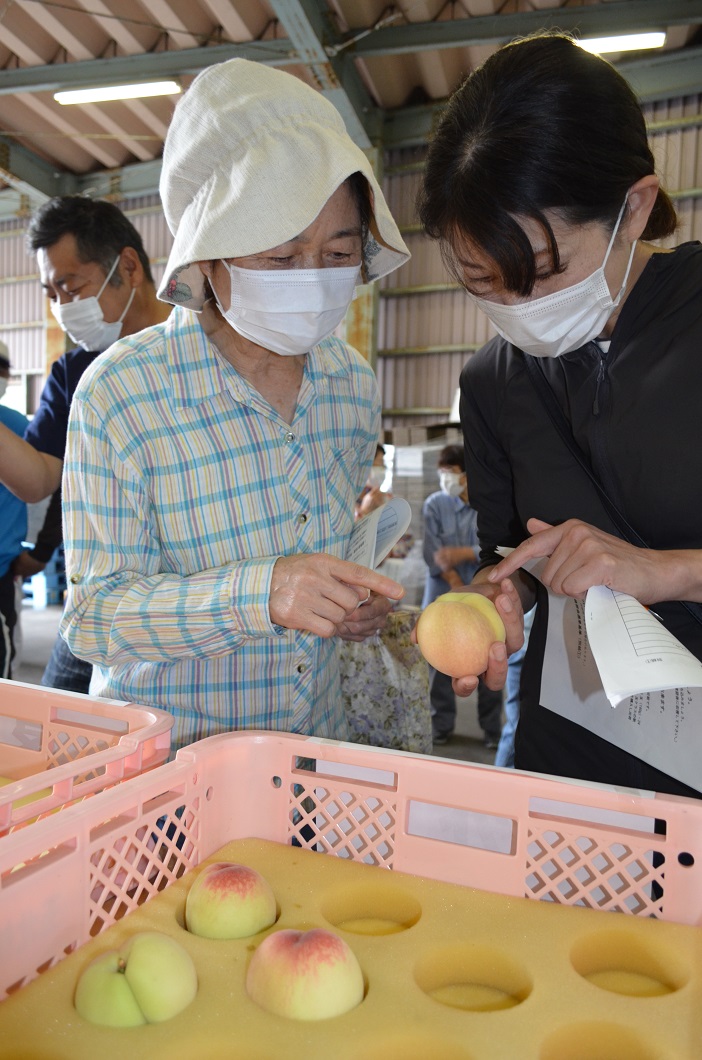 宮崎県産 完熟マンゴー 4kg ばら 13(土曜日) 果物 | filmekimi.iksv.org