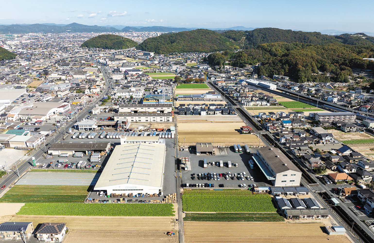 倉敷市連島町（砂地の畑が点在し、ゴボウの葉が青々と茂る）