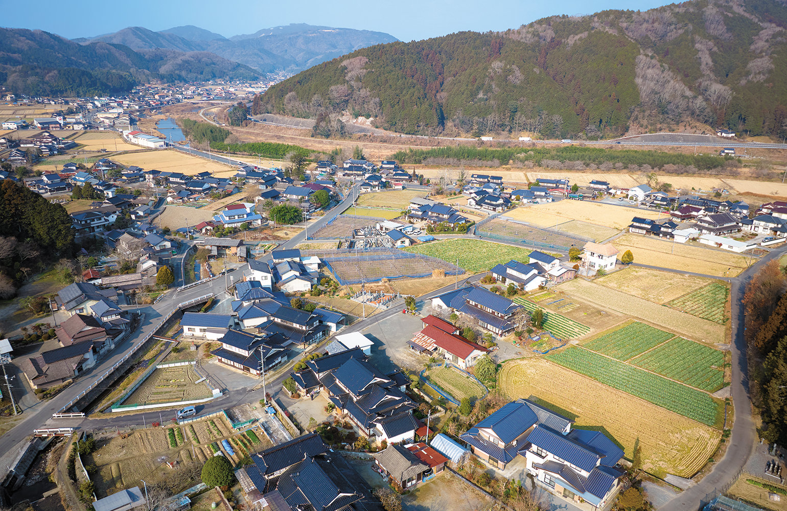 真庭市栗原（閑散期の田んぼに青々）