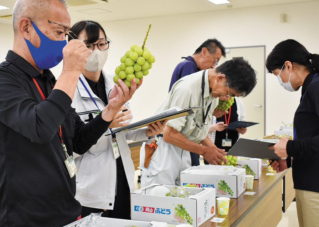 見た目も食味もよいものが多数出品された写真