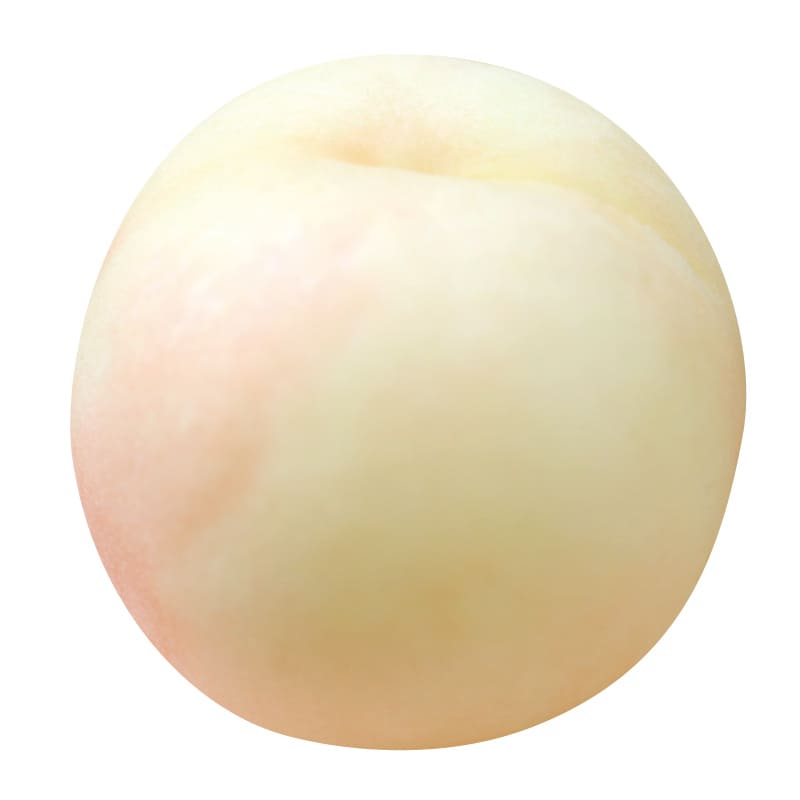 桃の品種「瀬戸内白桃」の写真